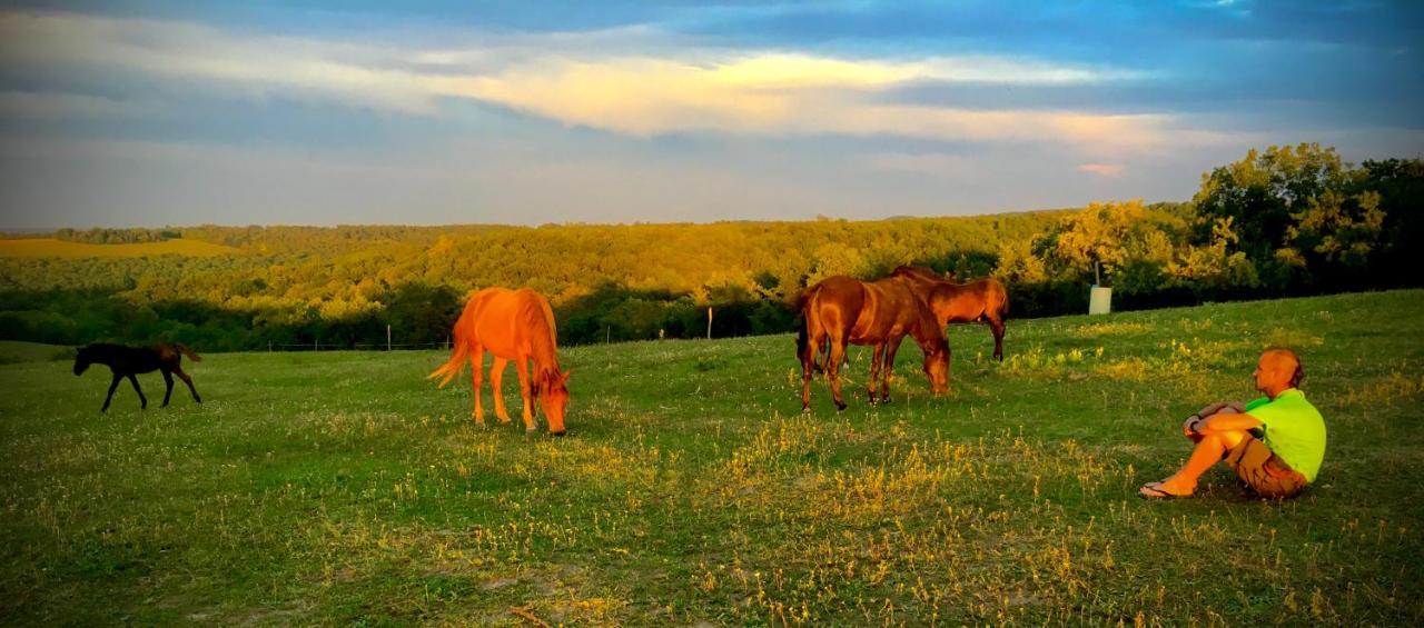 Dharma Horse Shelter & Farmping Camping Siófok