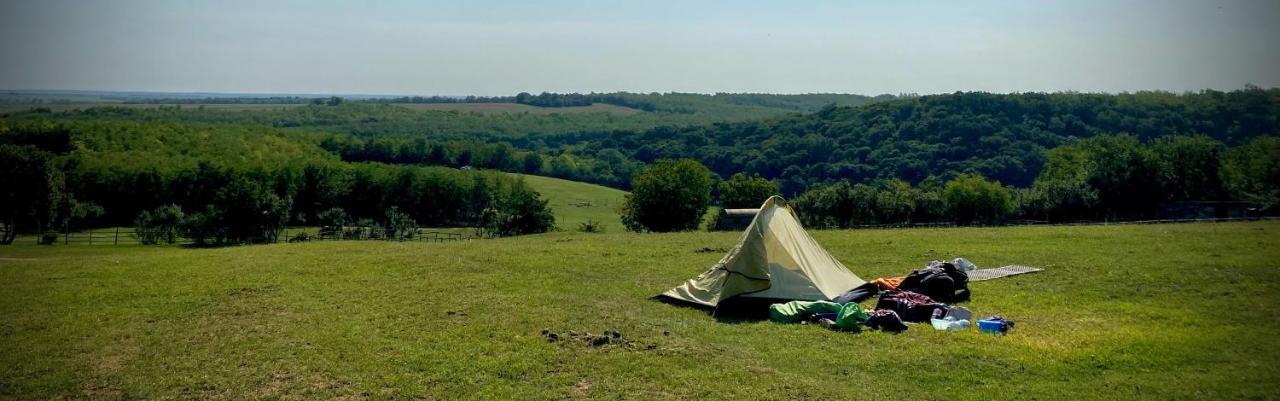 Dharma Horse Shelter & Farmping